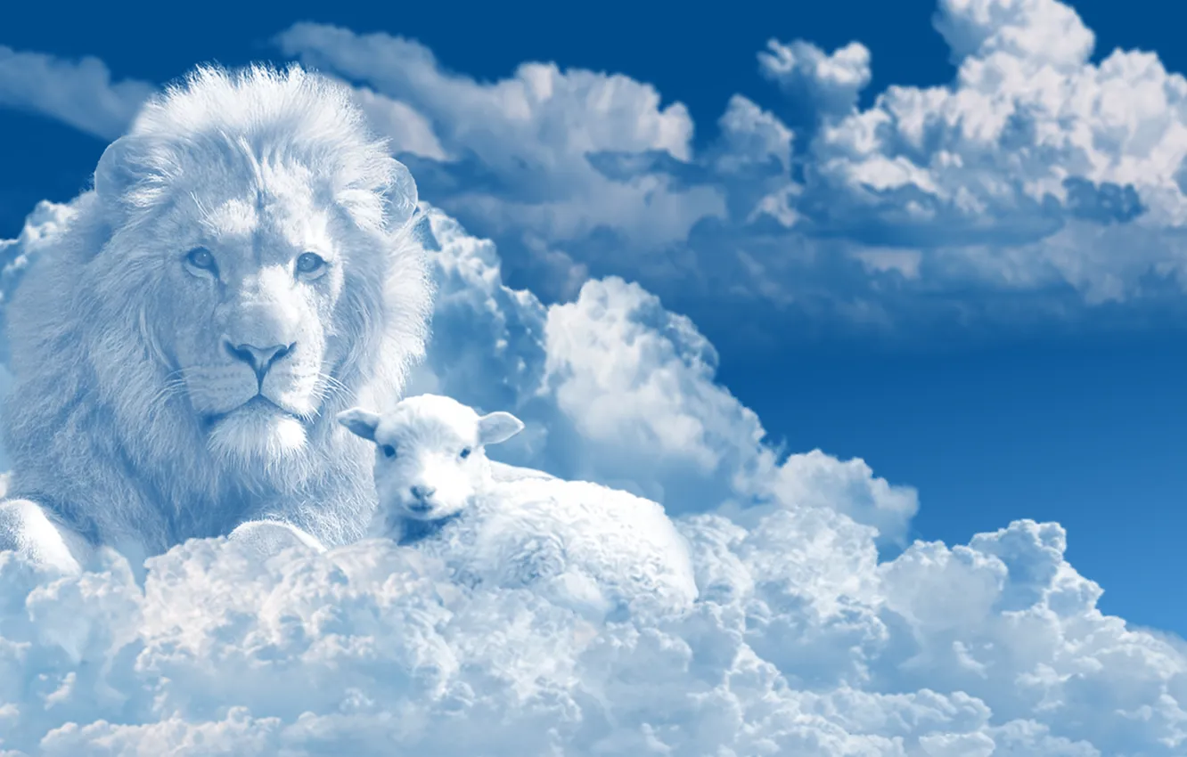 Photo wallpaper graphics, wallpaper, sky, lion, clouds, picture, lamb