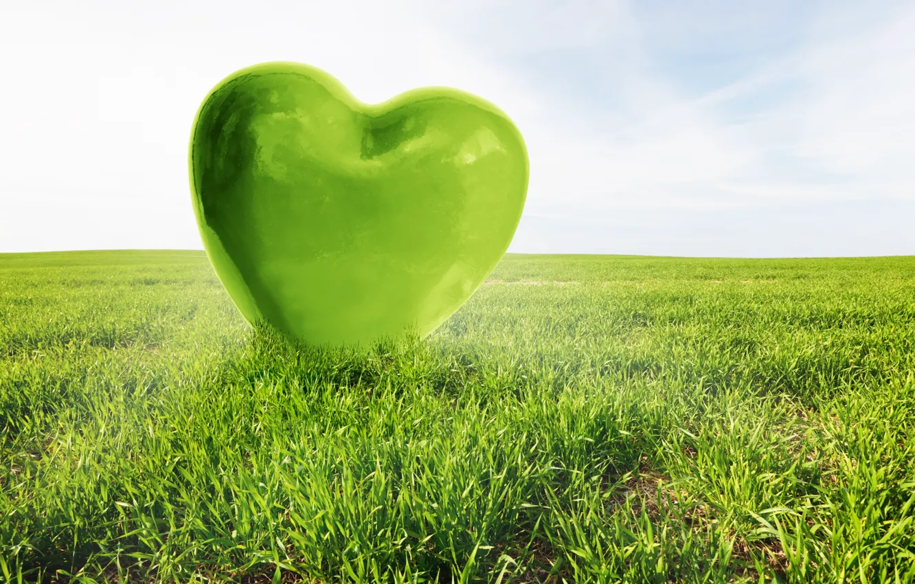 Photo wallpaper love, green, heart, love, field, heart