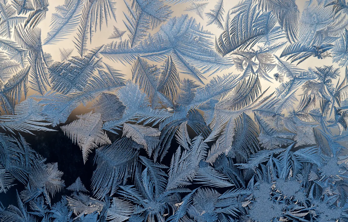 Photo wallpaper glass, patterns, frost