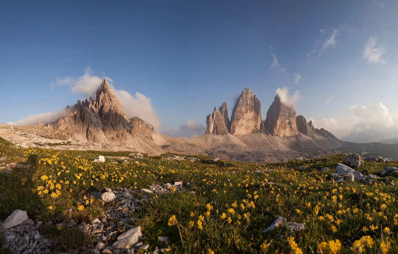 Photo wallpaper the sky, clouds, flowers, mountains