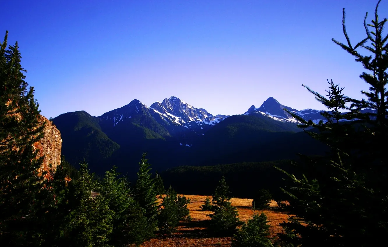 Photo wallpaper field, nature, forest mountains