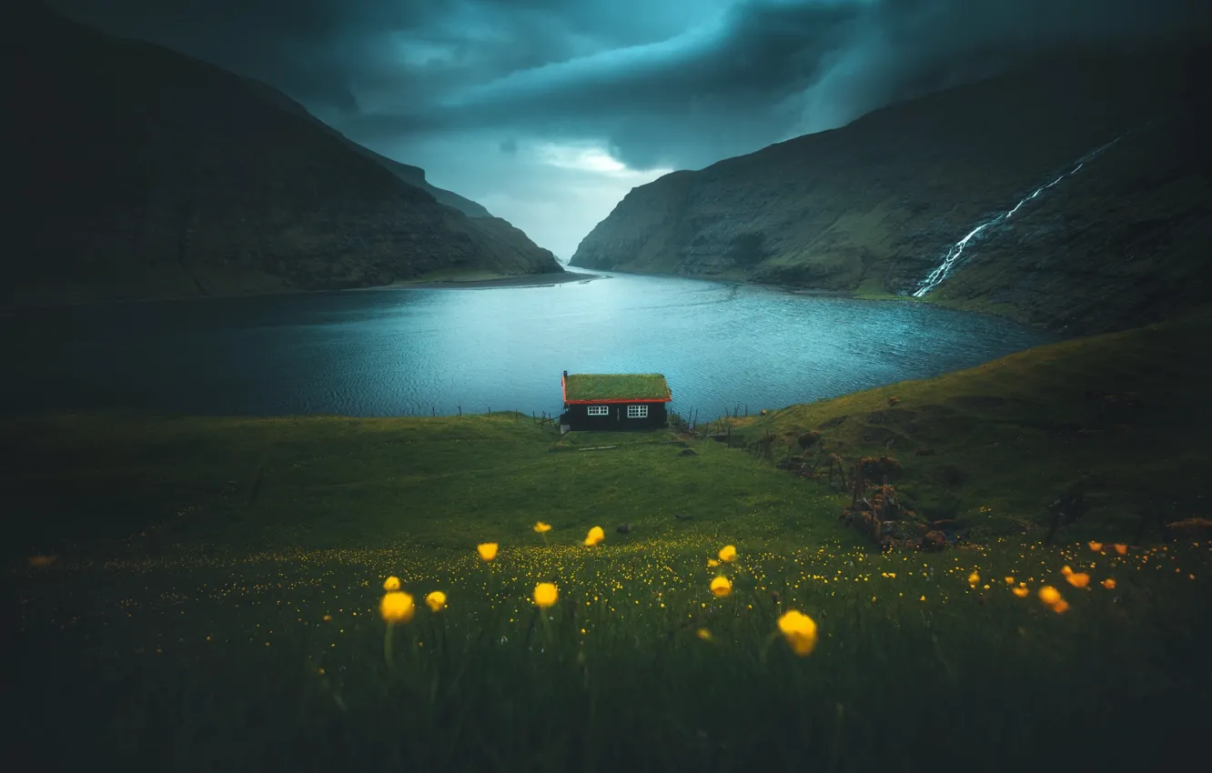 Photo wallpaper grass, flowers, mountains, house, the fjord