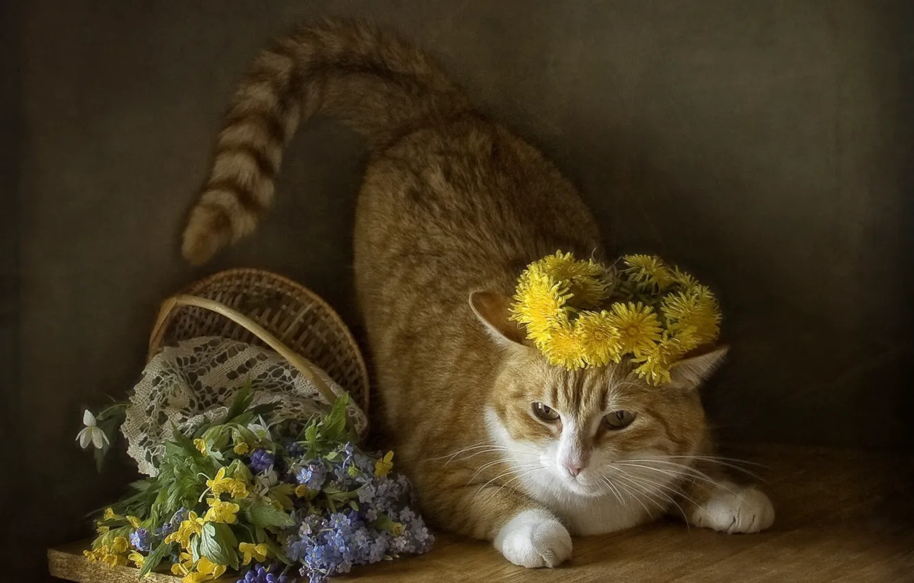 Photo wallpaper cat, cat, flowers, spring, basket