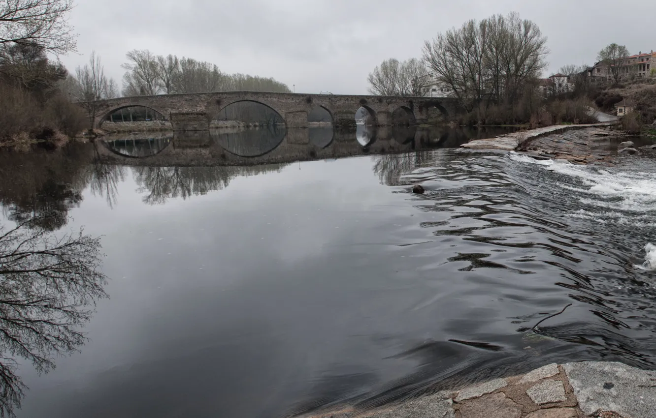 Photo wallpaper bridge, nature, river, overcast, stream, Nature, river, bridge