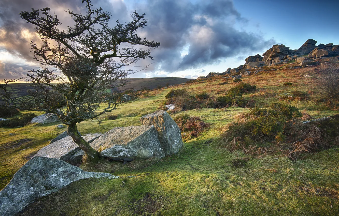 Photo wallpaper the sky, grass, trees, mountains, clouds, stones, slope