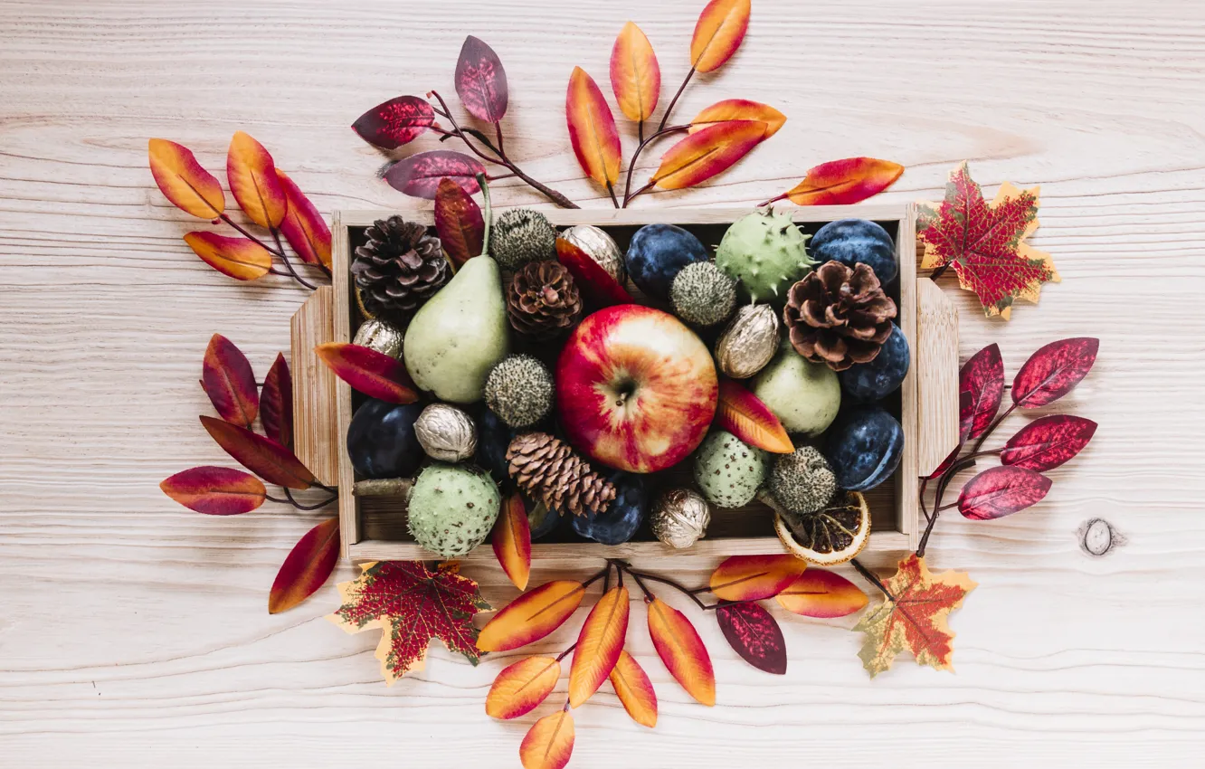Photo wallpaper autumn, leaves, background, tree, apples, colorful, fruit, nuts