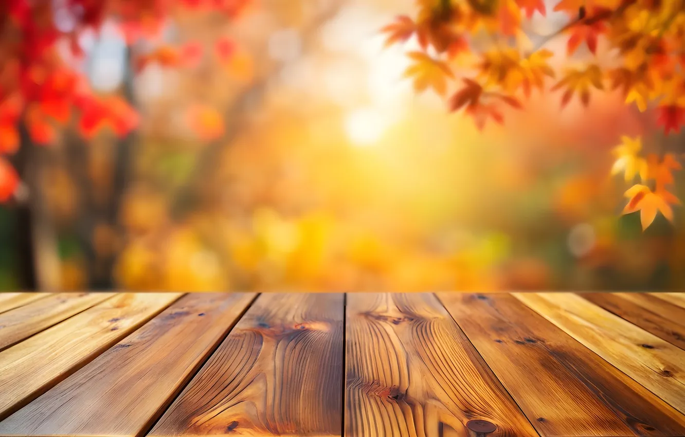 Photo wallpaper autumn, the sun, branches, nature, Board, texture, blurred background, autumn leaves