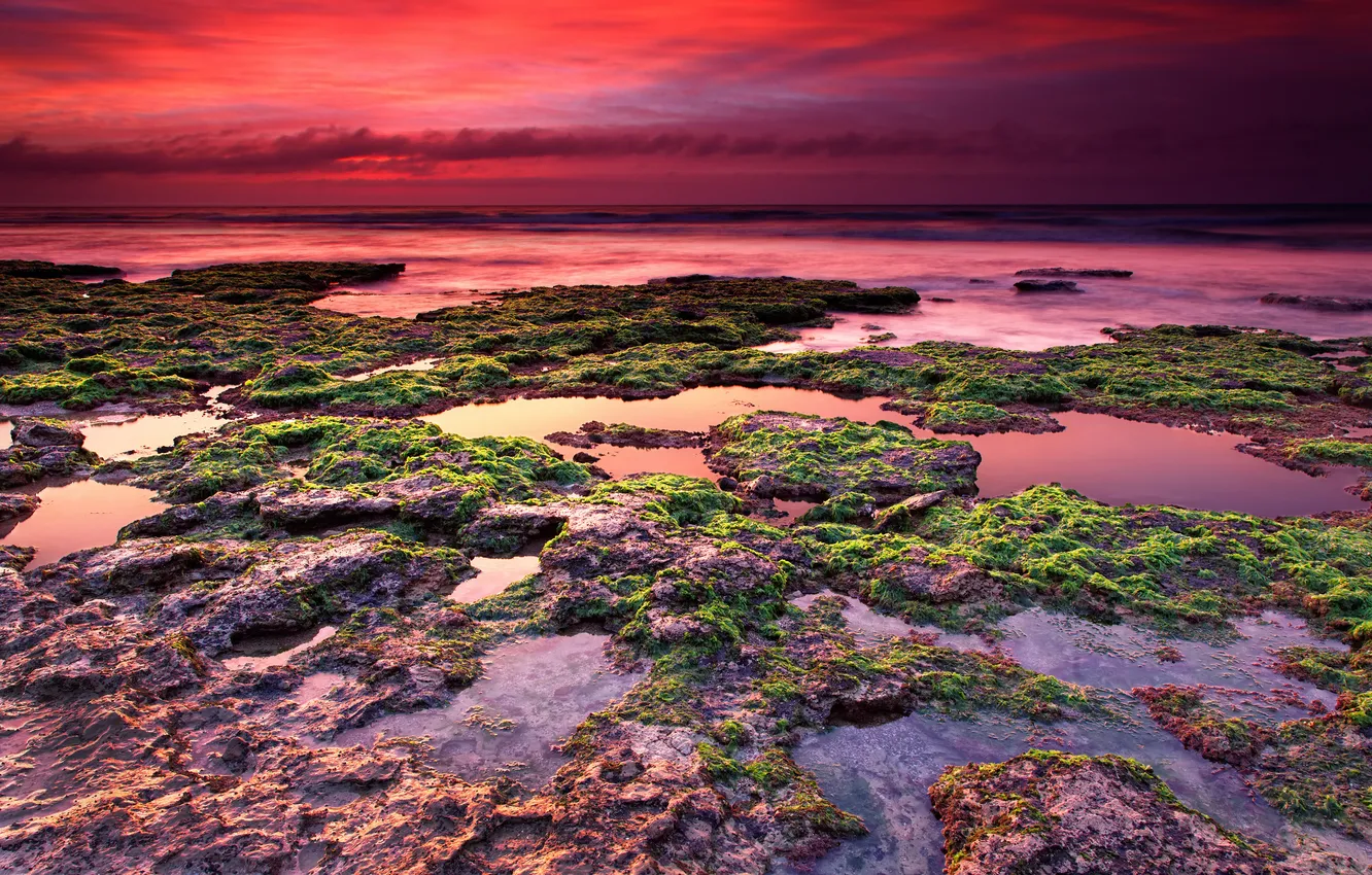 Photo wallpaper sea, the sky, algae, stones, dawn, Argentina, Miramar