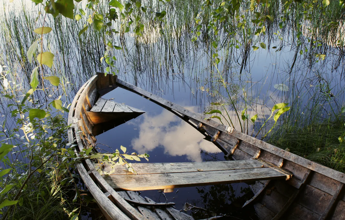 Photo wallpaper grass, water, branches, lake, pond, tree, boat, the skeleton