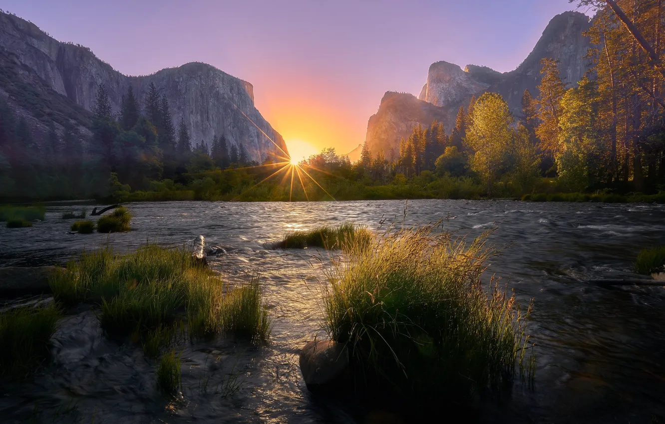 Photo wallpaper autumn, the sky, grass, the sun, rays, light, trees, sunset