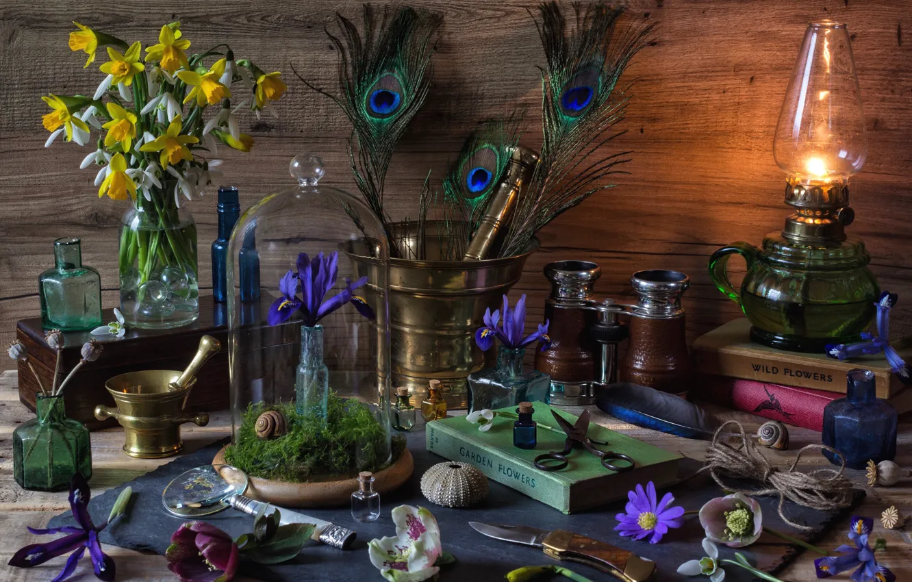 Photo wallpaper flowers, bottle, lamp, feathers, book, shell, still life, daffodils
