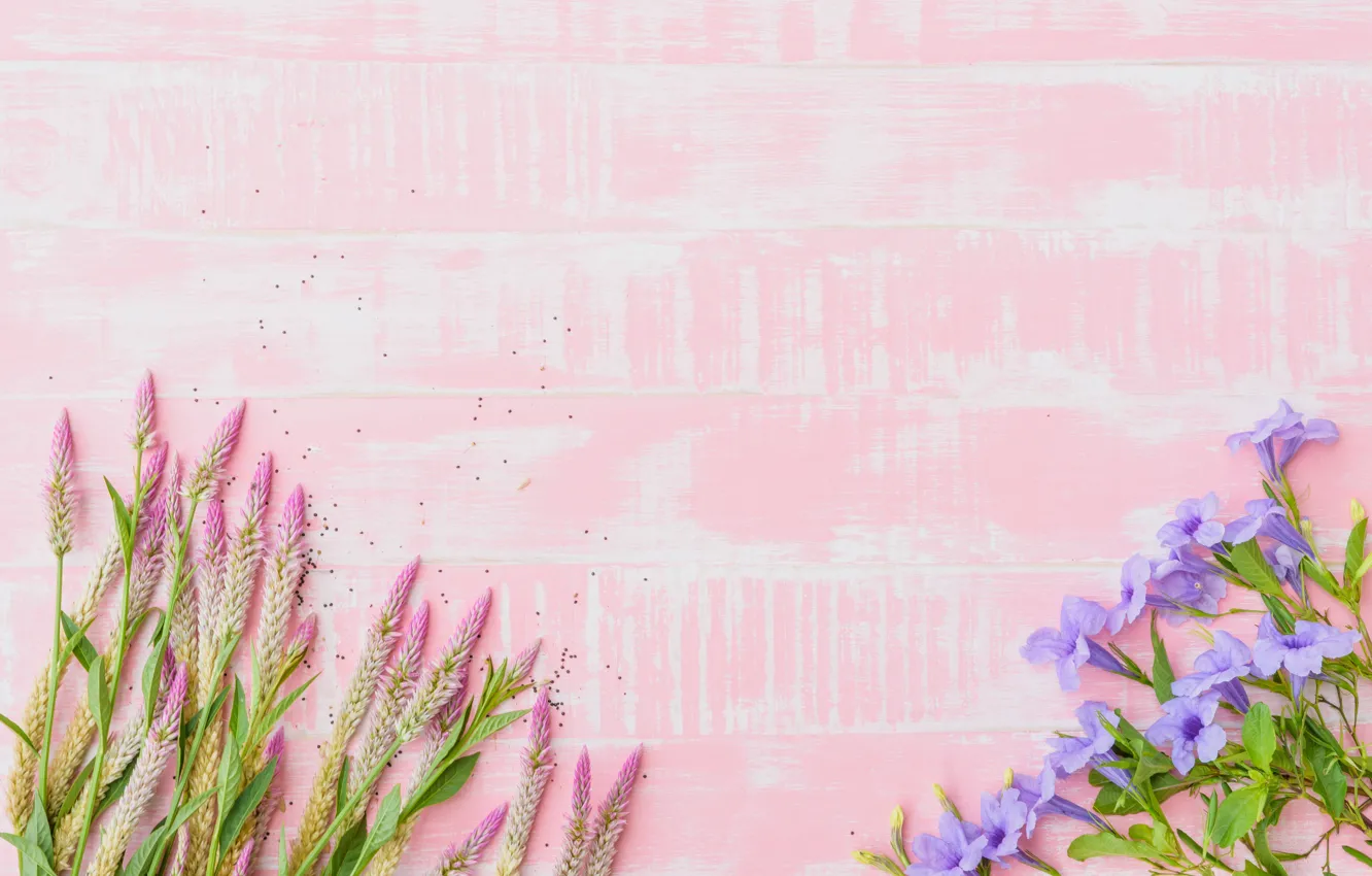 Photo wallpaper flowers, background, pink, wood, pink, flowers