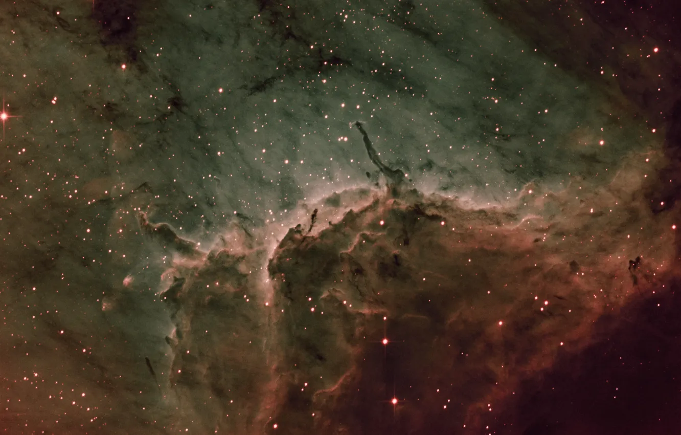 Photo wallpaper swans, in the constellation, Pelican nebula, Pelican Nebula