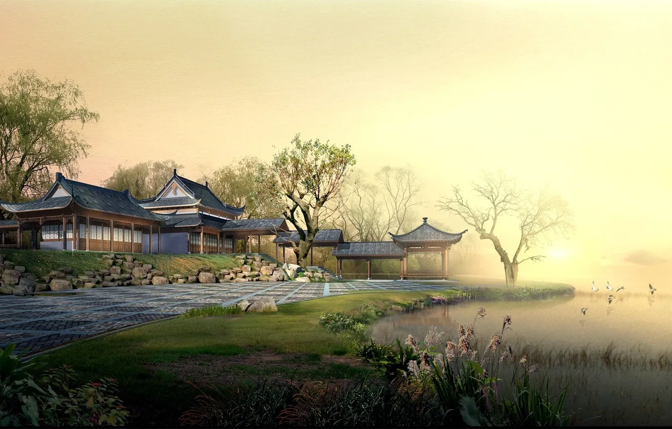 Photo wallpaper fog, lake, shore, morning