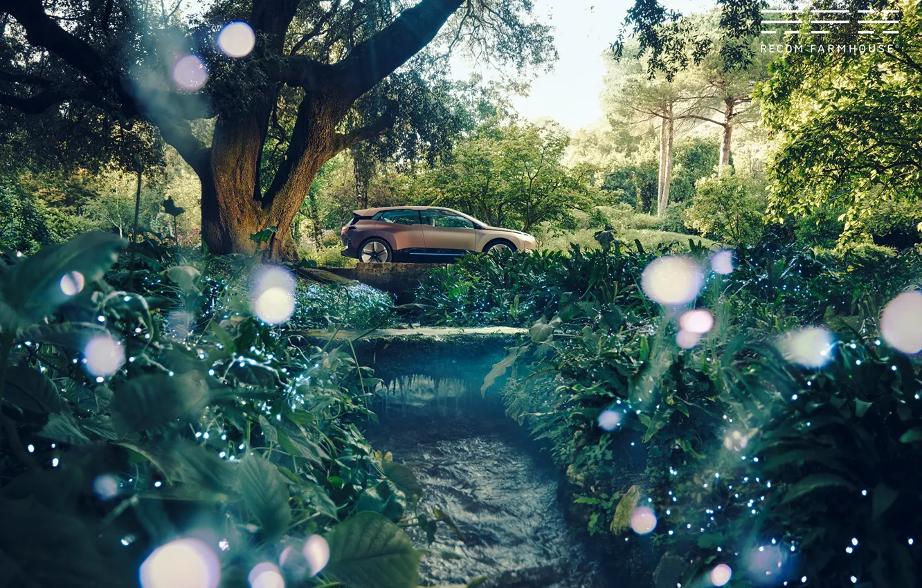 Photo wallpaper reflection, transport, BMW, car, pond