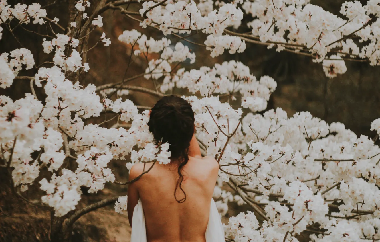Photo wallpaper girl, spring, flowering