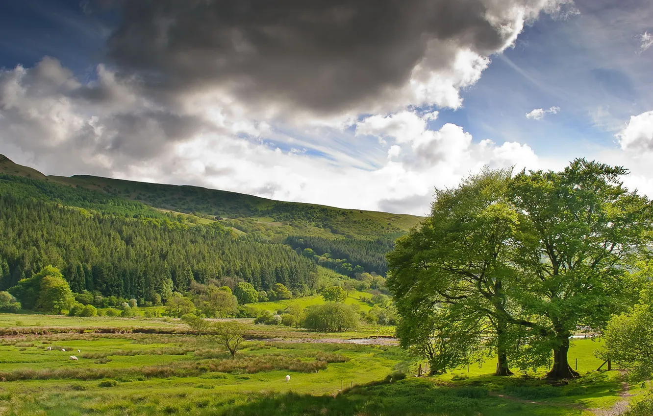 Photo wallpaper nature, farm, Town