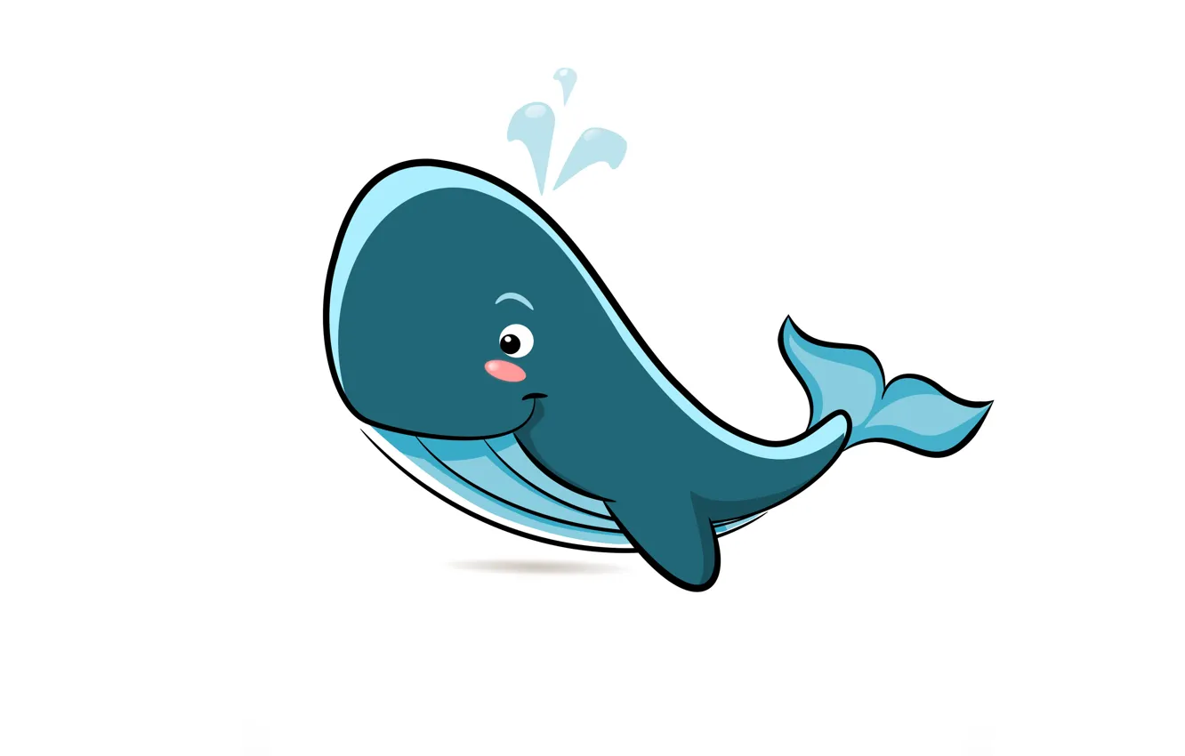 Photo wallpaper water, smile, kit