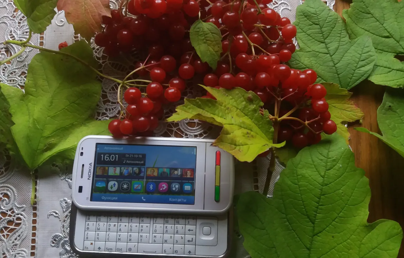 Photo wallpaper leaves, smartphone, Kalina, horizontal, slider, Nokia, C6-00