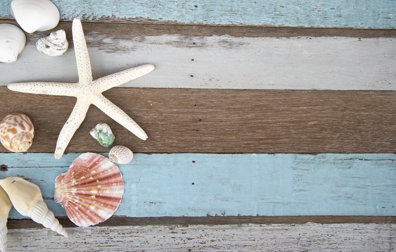 Photo wallpaper shell, summer, wood, marine, starfish, composition, seashells