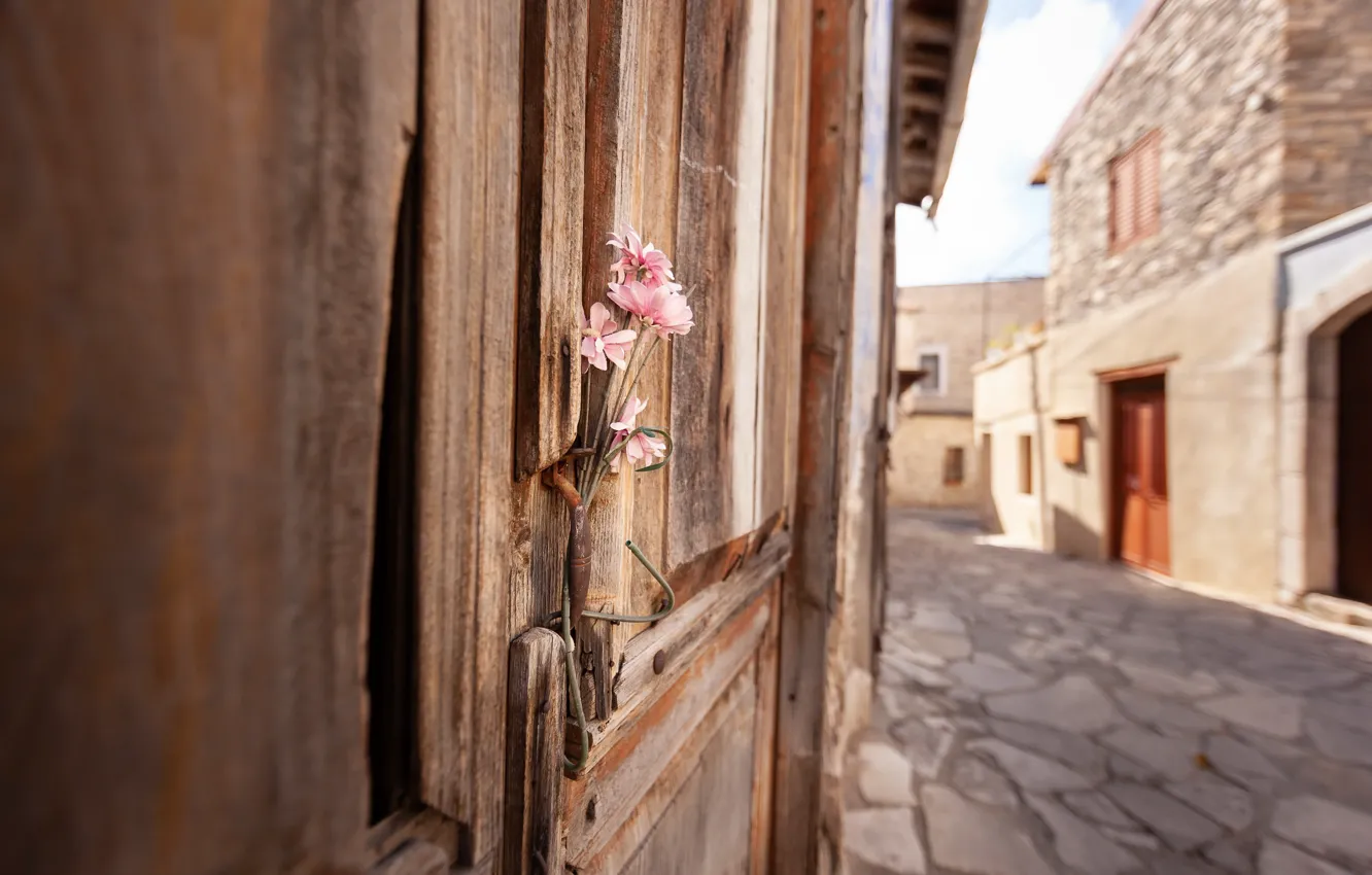 Photo wallpaper flowers, street, the door