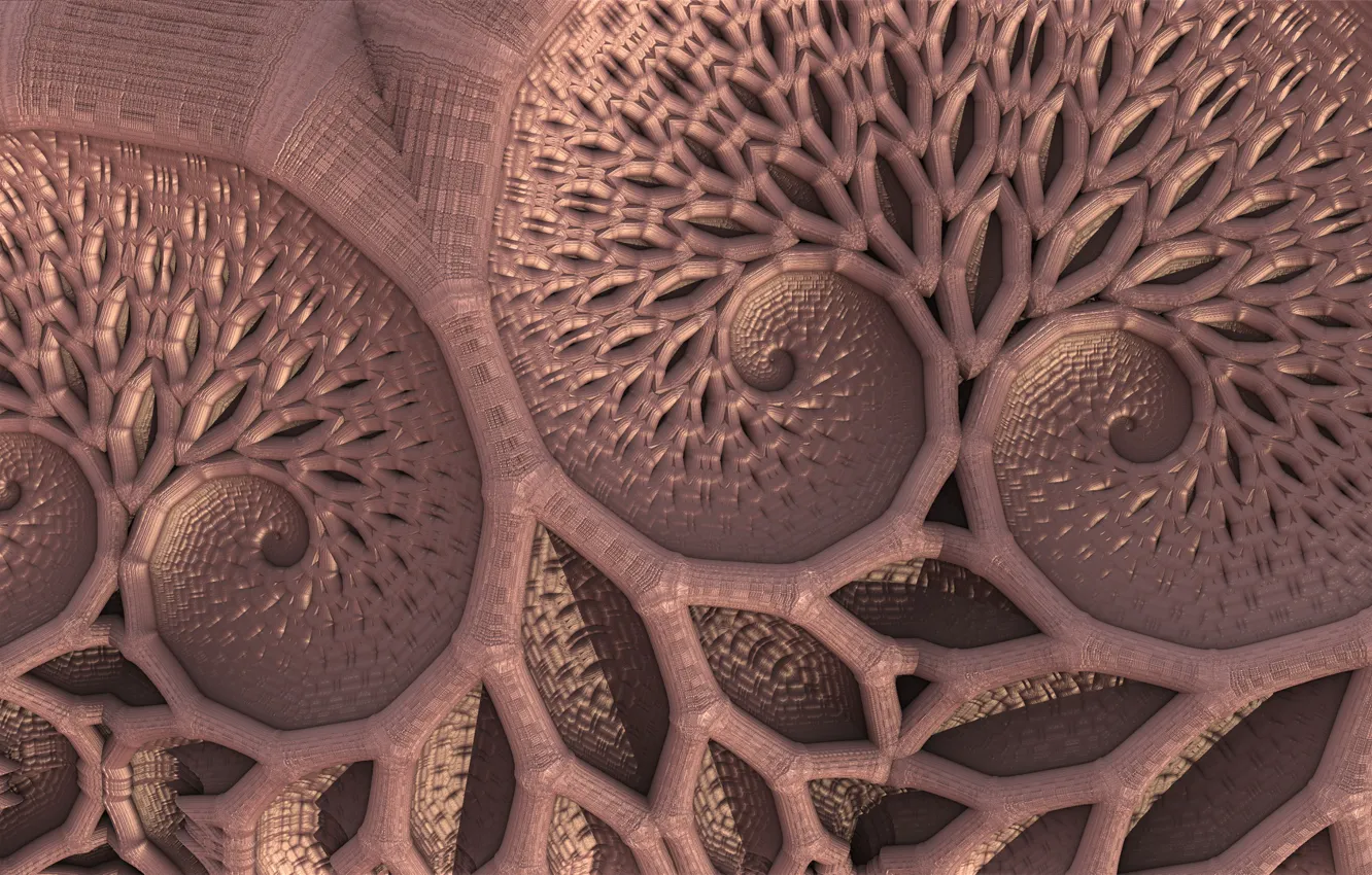 Photo wallpaper macro, surface, pattern, form