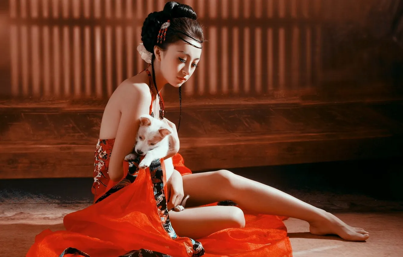 Photo wallpaper girl, red, beauty, dog, Japan, geisha, East, legs