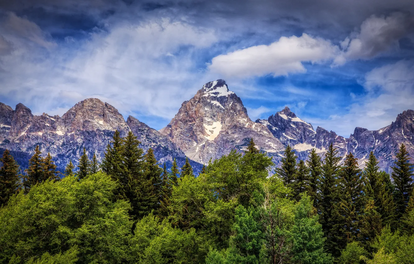 Photo wallpaper trees, mountains, Wyoming, Wyoming, Grand Teton, Grand Teton National Park