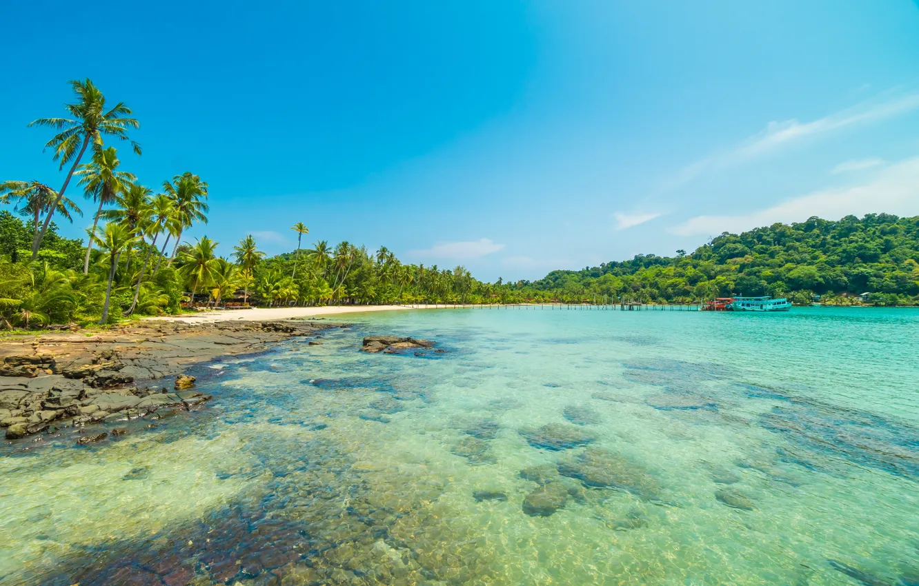 Photo wallpaper sand, sea, wave, beach, summer, the sky, palm trees, shore