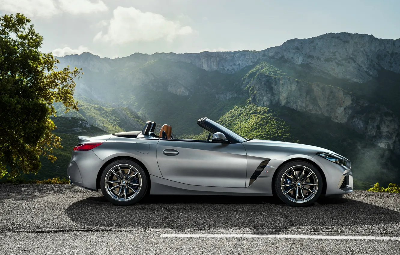 Photo wallpaper mountains, grey, open, tree, BMW, profile, Roadster, BMW Z4