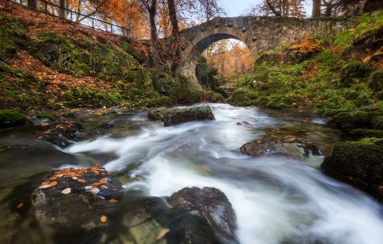 Photo wallpaper autumn, bridge, river, Northern Ireland, Northern Ireland, River Shimna, Shimna River, Foley's Bridge