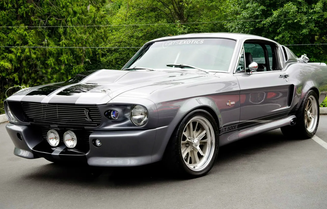 Photo wallpaper Mustang, Ford, Shelby, Ford, Mustang, Eleanor, GT 500, Muscle car