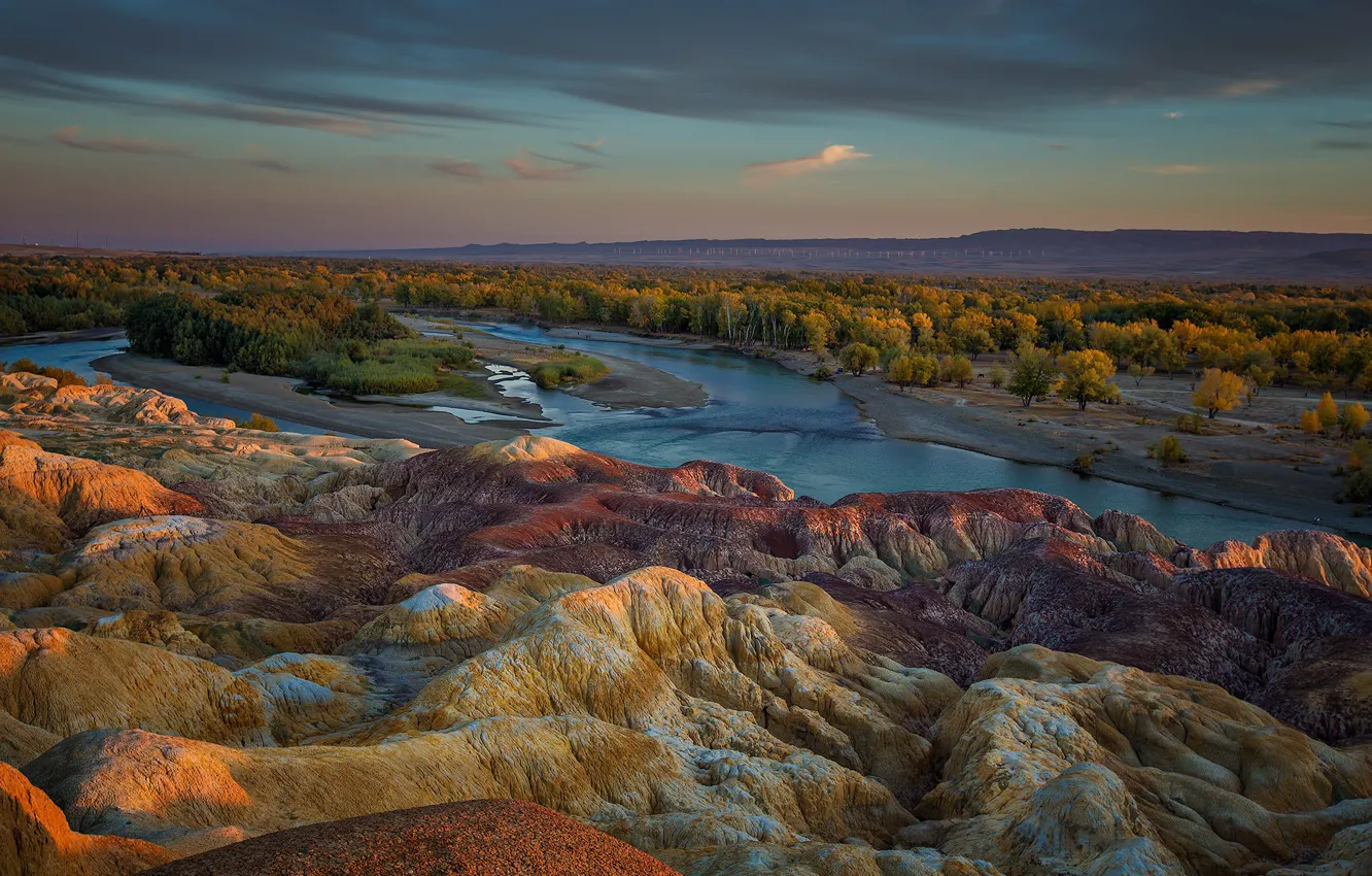 Photo wallpaper forest, mountains, river, panorama