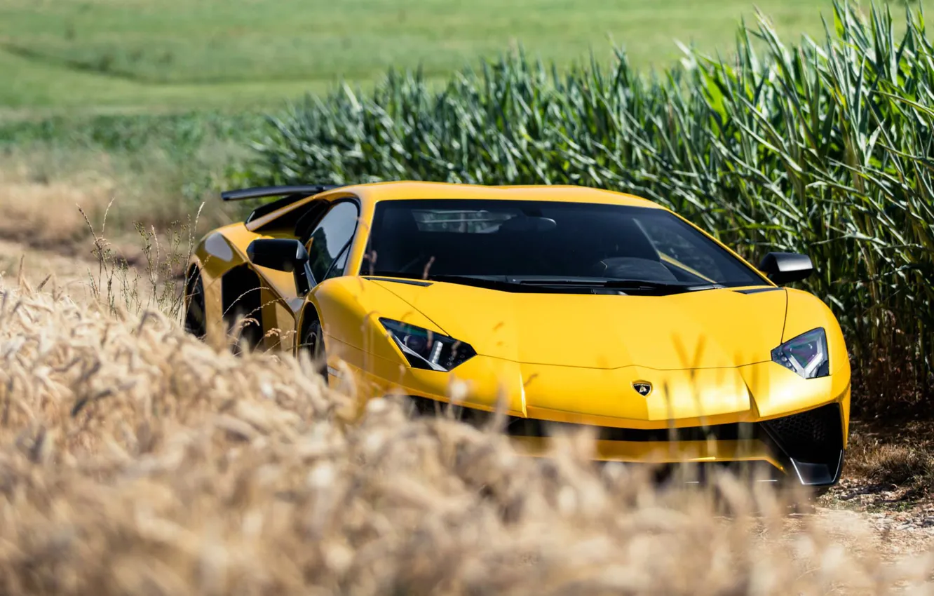 Photo wallpaper Lamborghini, Aventador, Superveloce, LP-750