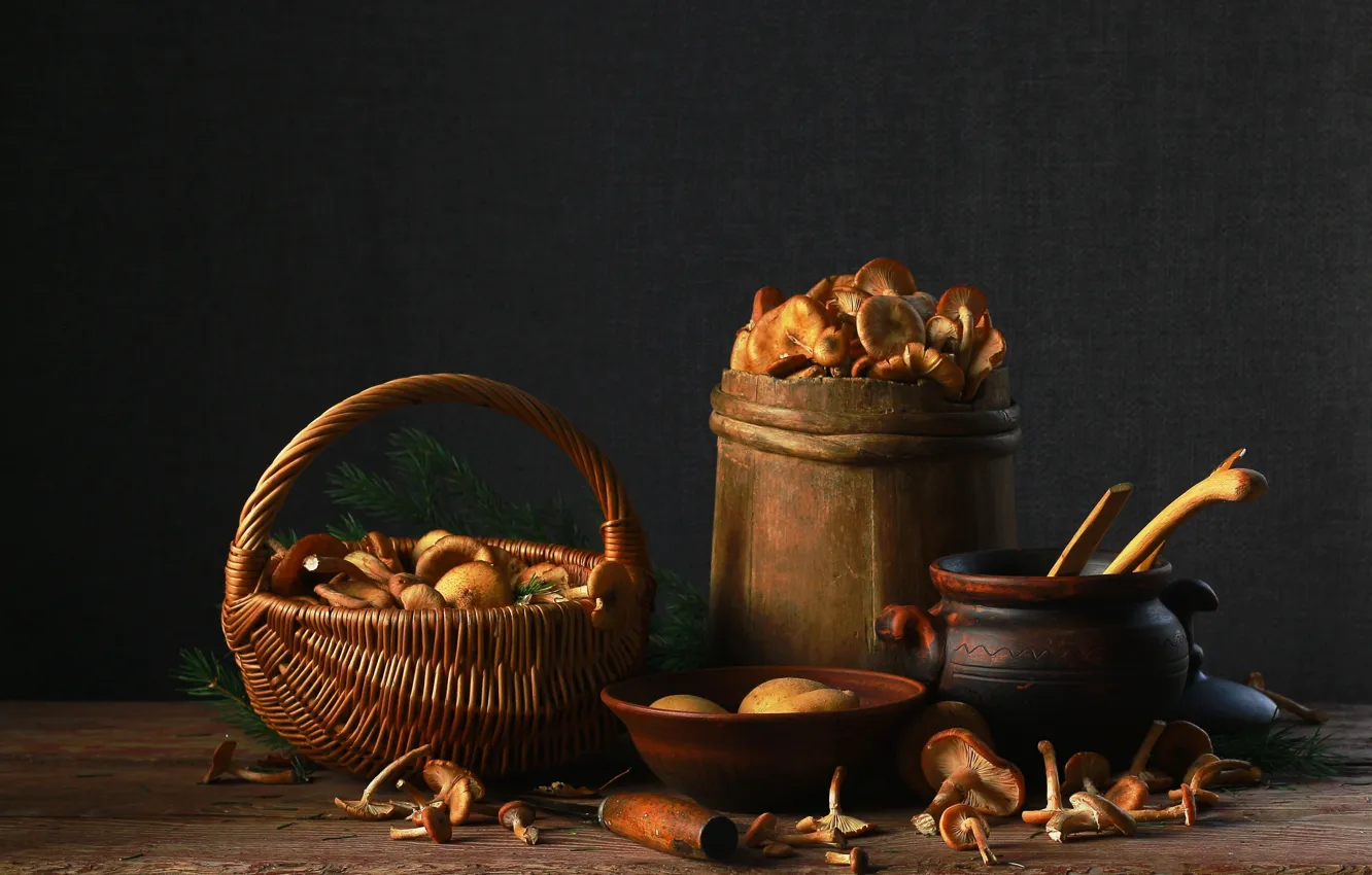 Photo wallpaper branches, table, mushrooms, harvest, spoon, knife, pot, bowl