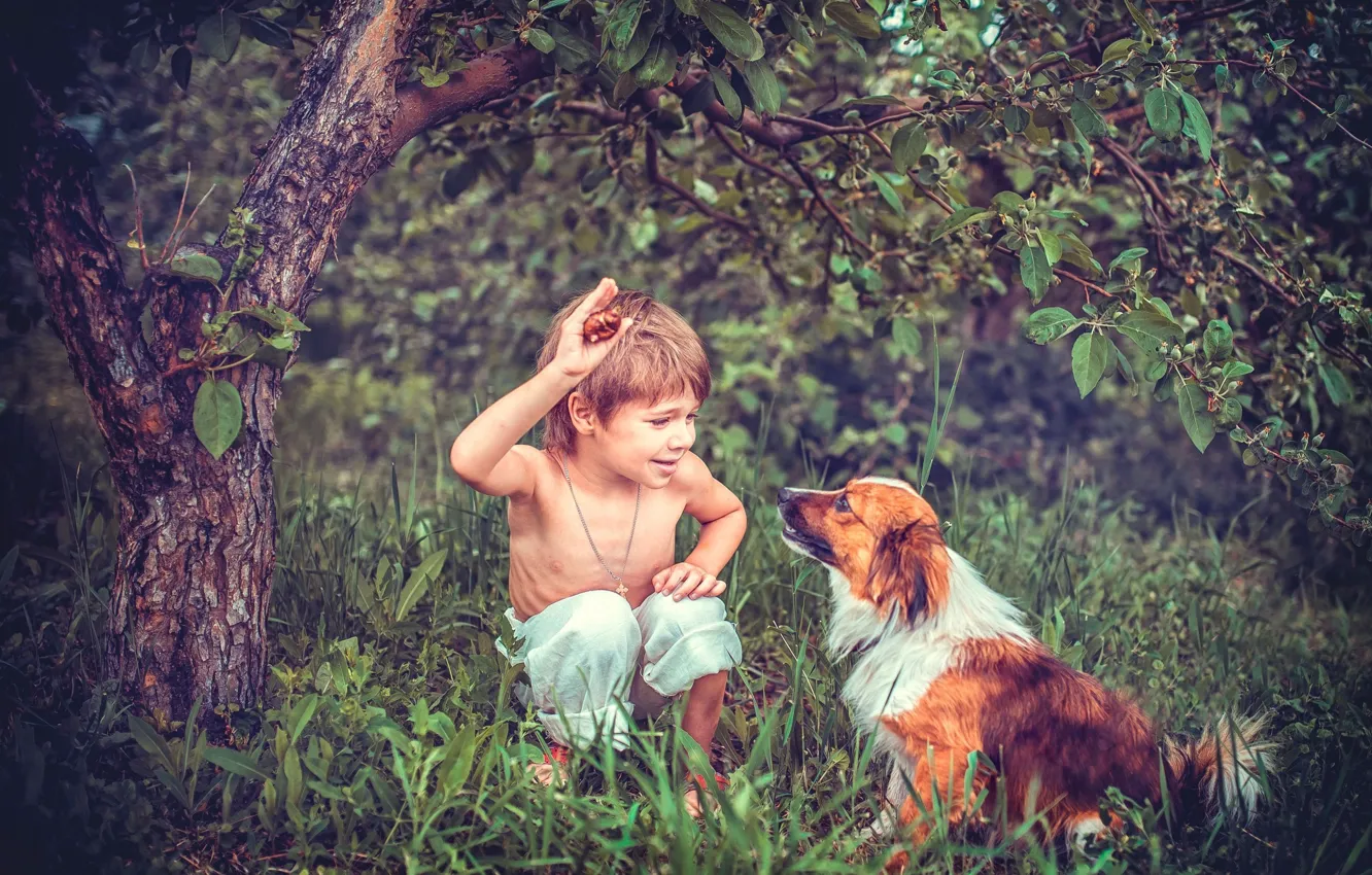 Photo wallpaper summer, trees, children, mood, dog, boy, garden, Wallpaper from lolita777
