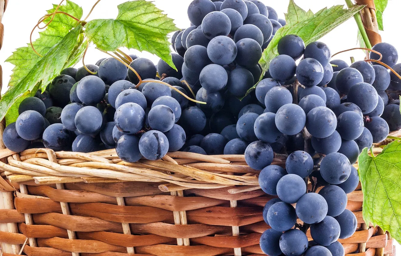 Photo wallpaper berries, grapes, basket