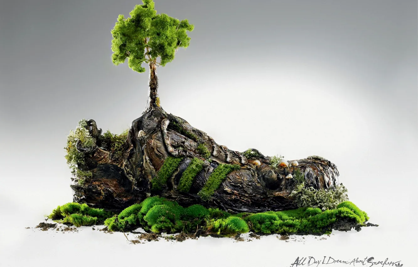 Photo wallpaper grass, trees, style, sneakers, Adidas, Adidas, Originals