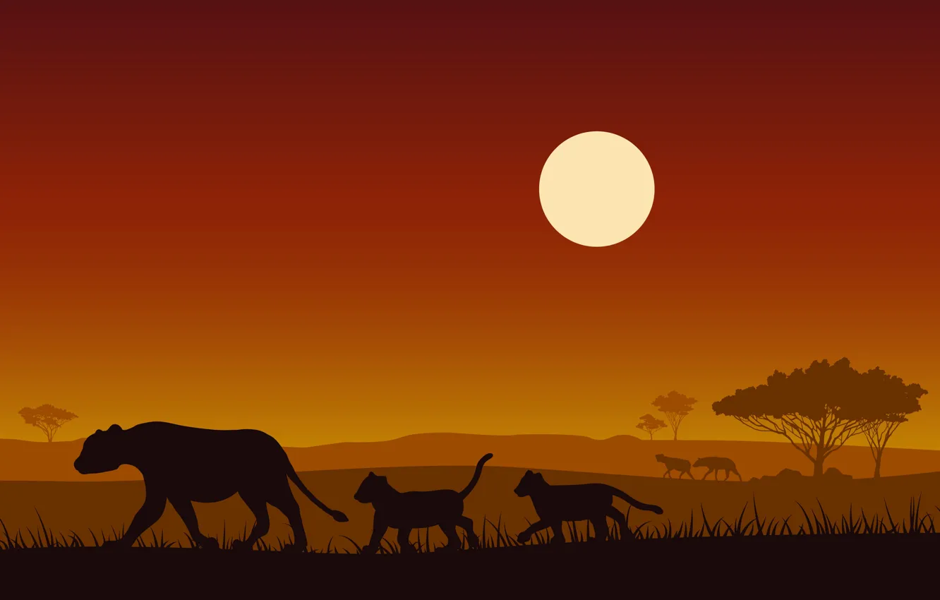 Photo wallpaper the sun, trees, sunset, art, kitty, lioness, lion