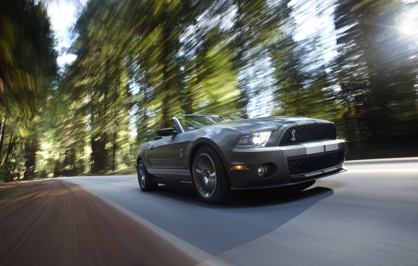 Photo wallpaper road, forest, summer, class, car, ford shelby gt500 2010