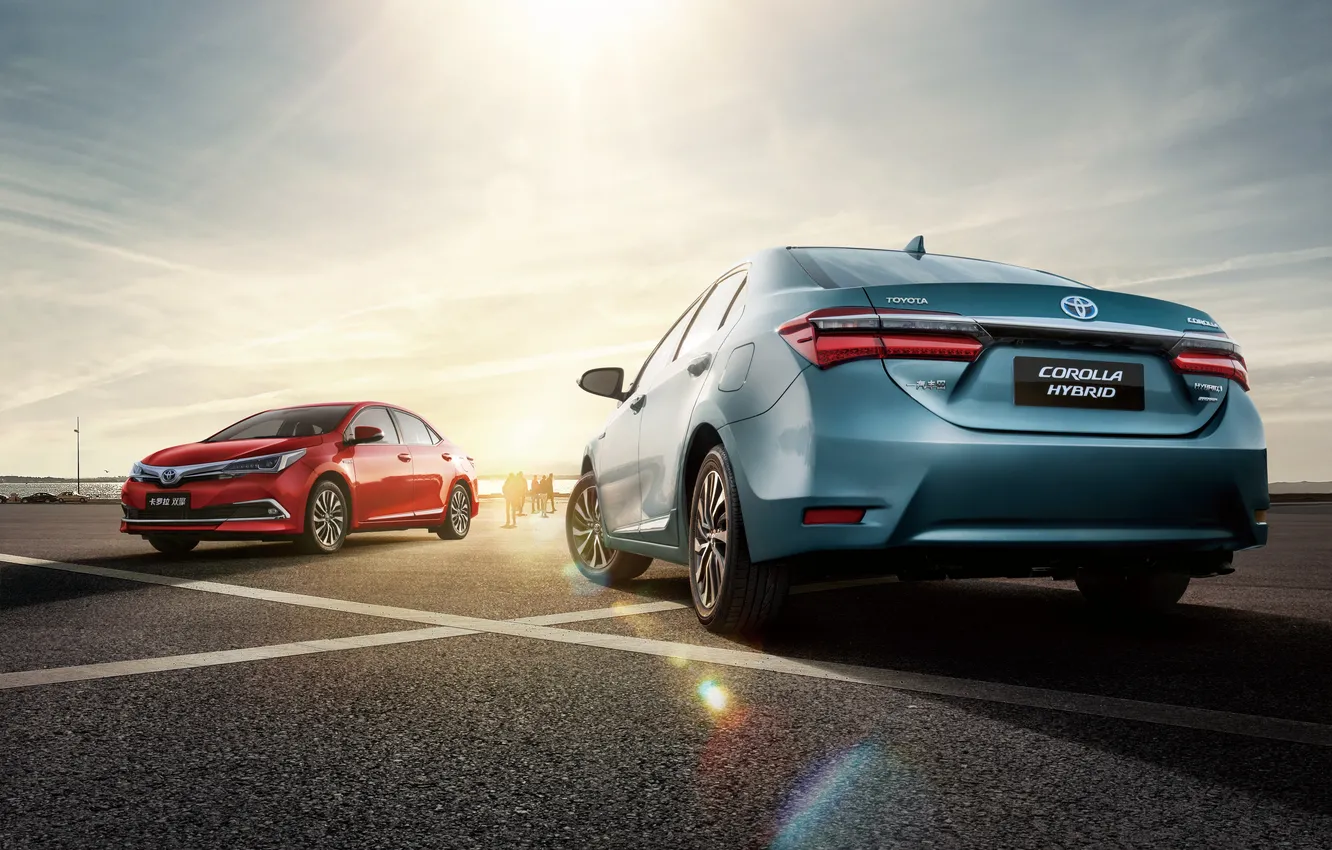 Photo wallpaper Toyota, corolla, Toyota, Corolla