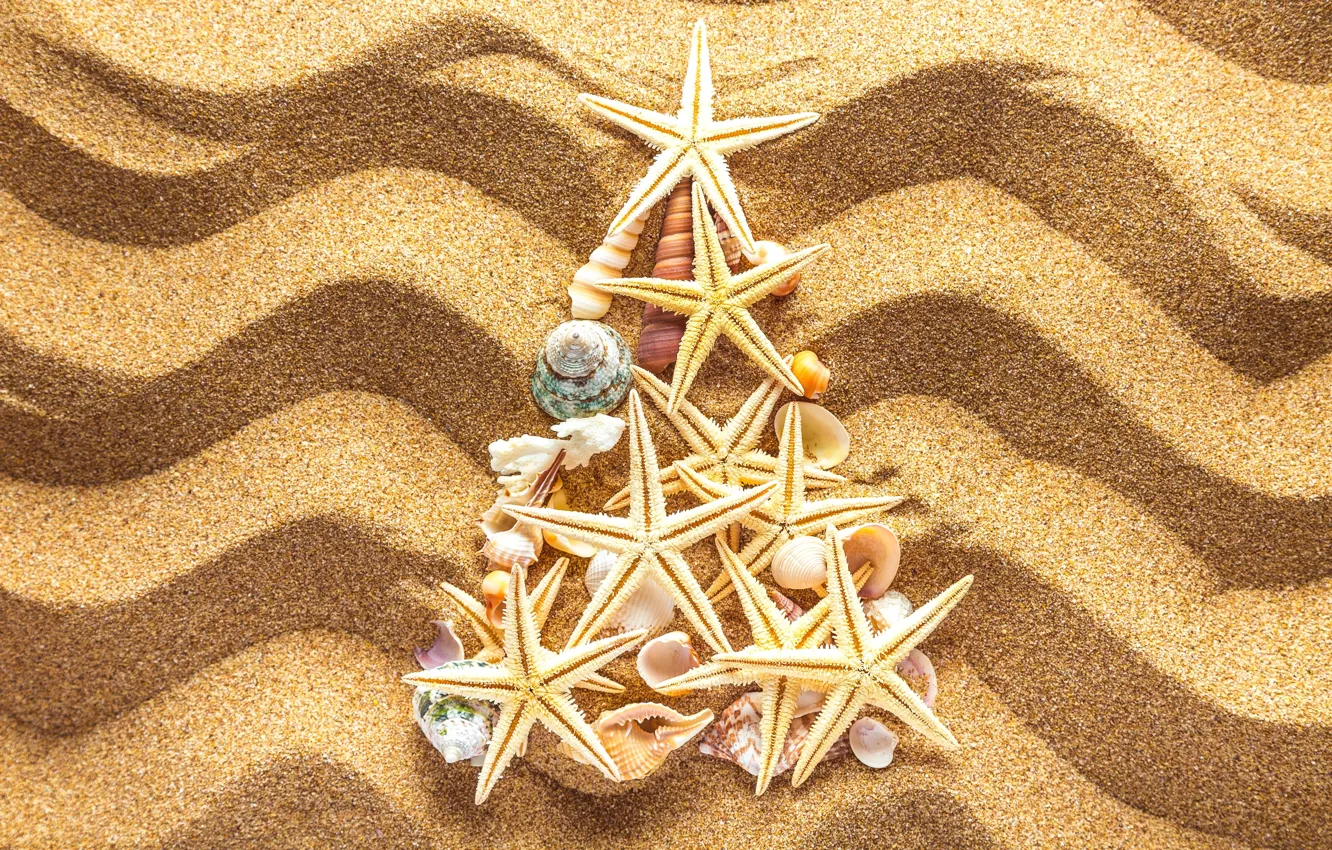 Photo wallpaper sand, decoration, tree, New Year, shell, Christmas, beach, tree