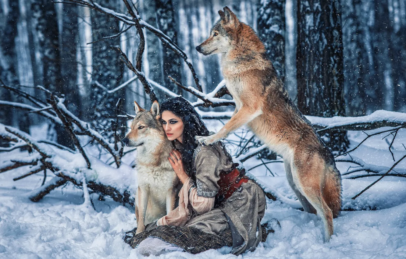 Photo wallpaper winter, forest, girl, snow, pose, wolf, dress, brunette