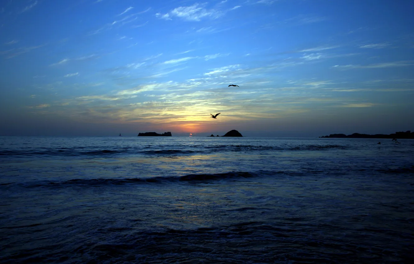 Photo wallpaper sea, beach, Islands, sunset, birds