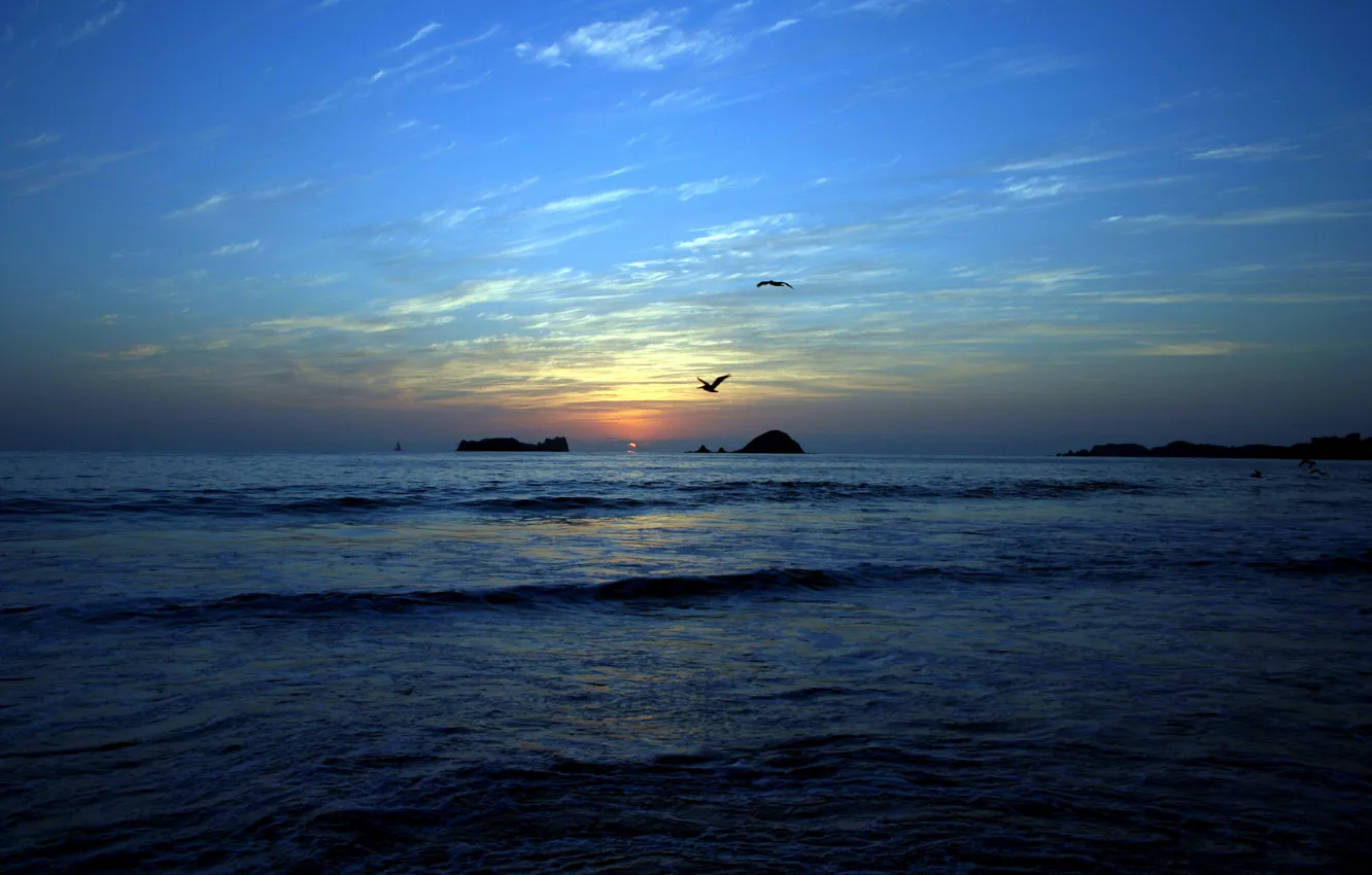 Photo wallpaper sea, beach, sunset, bird, island