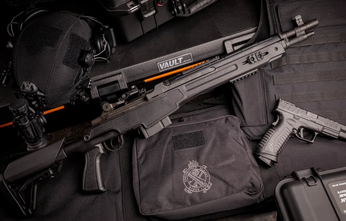 Wallpaper gun, weapons, gun, pistol, rifle, weapon, rifle, M14 images ...