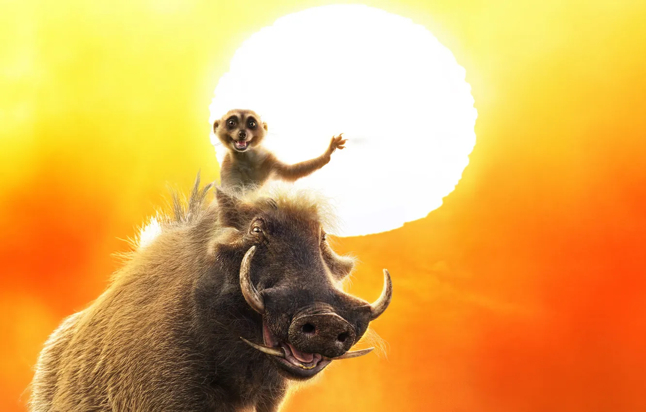 Photo wallpaper Lion King, Timon, Pumbaa, Mufasa