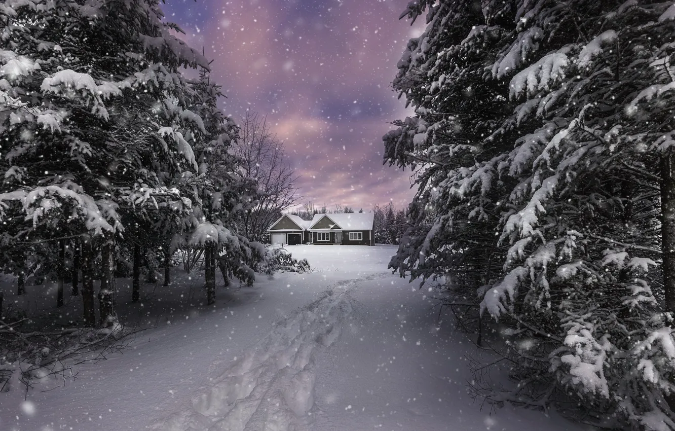 Photo wallpaper winter, snow, nature, house