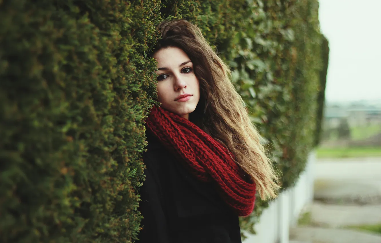 Photo wallpaper look, girl, hair, scarf
