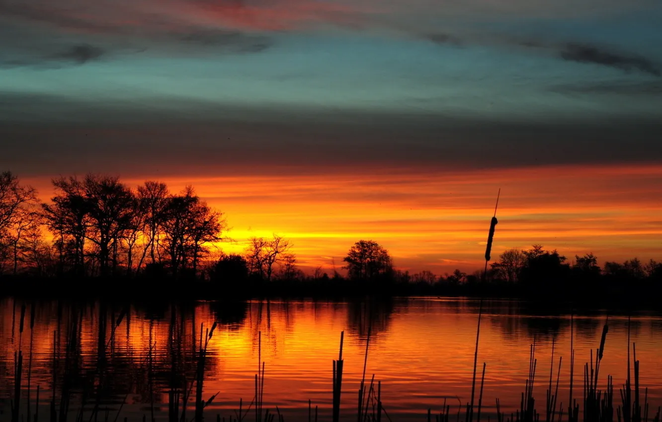 Photo wallpaper the sky, trees, sunset, orange, clouds, river, the reeds, The evening